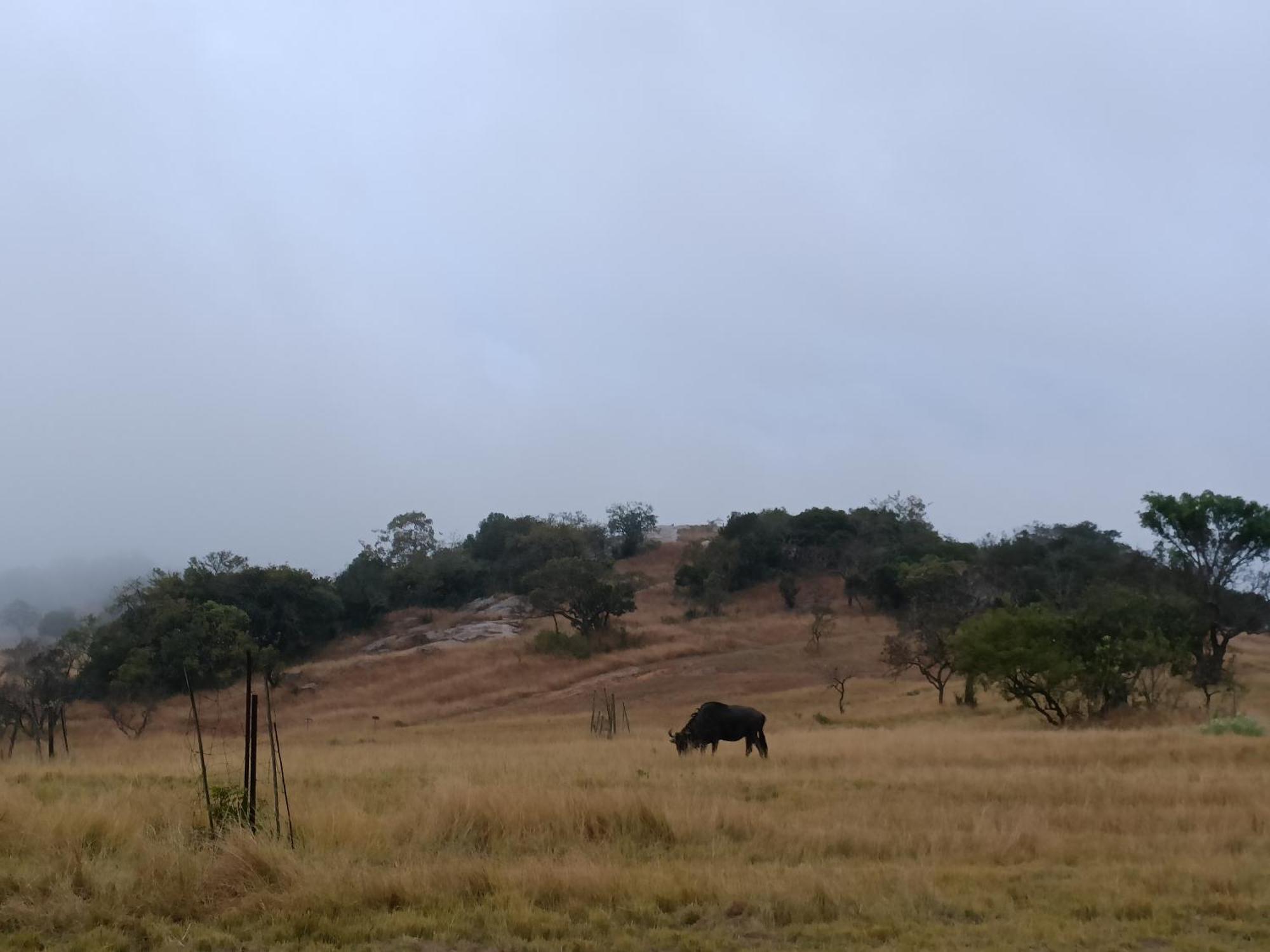 @Nature Luxury Cottages Mbombela Екстер'єр фото