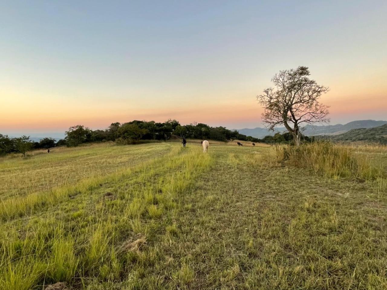 @Nature Luxury Cottages Mbombela Екстер'єр фото