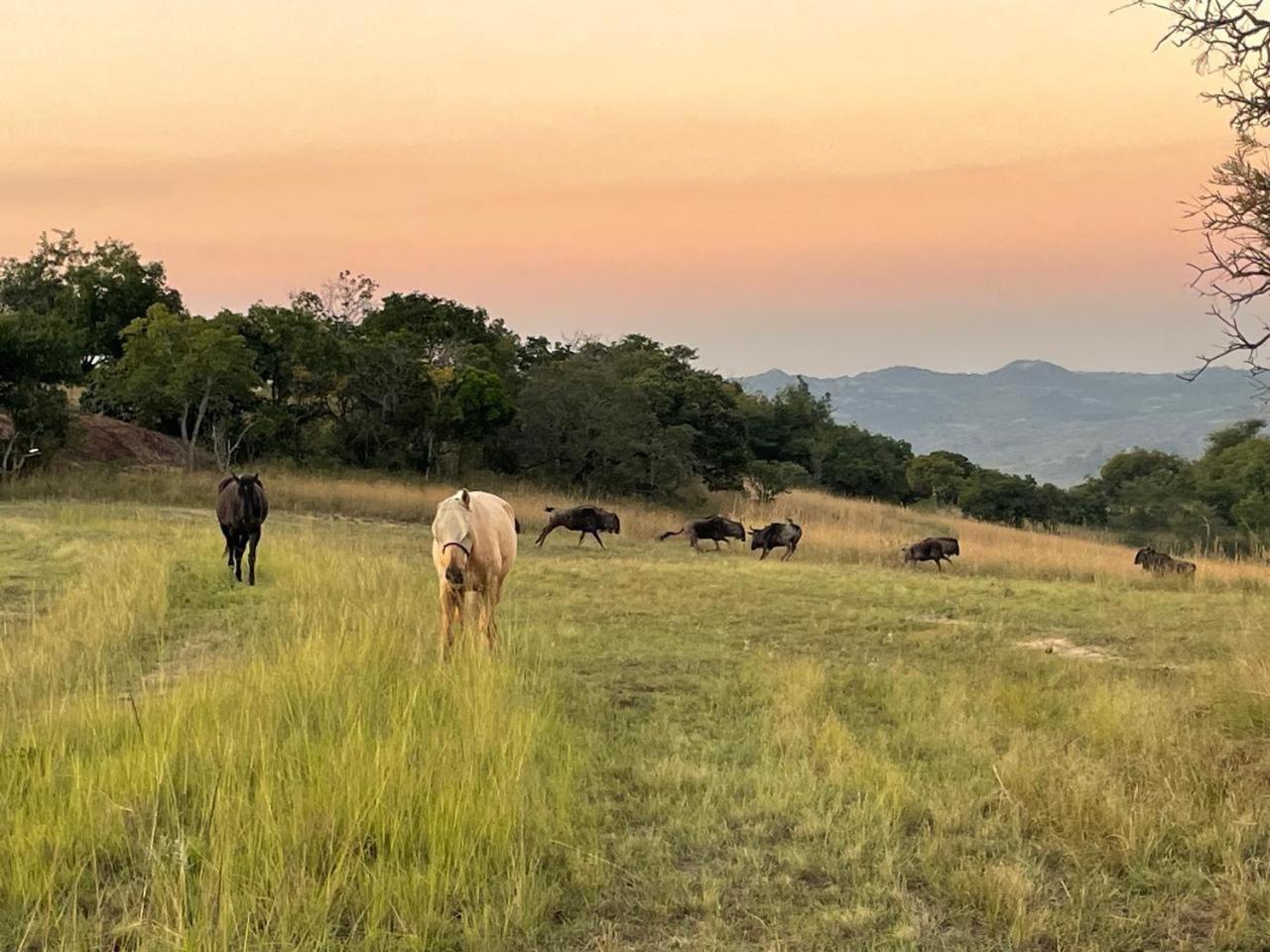 @Nature Luxury Cottages Mbombela Екстер'єр фото