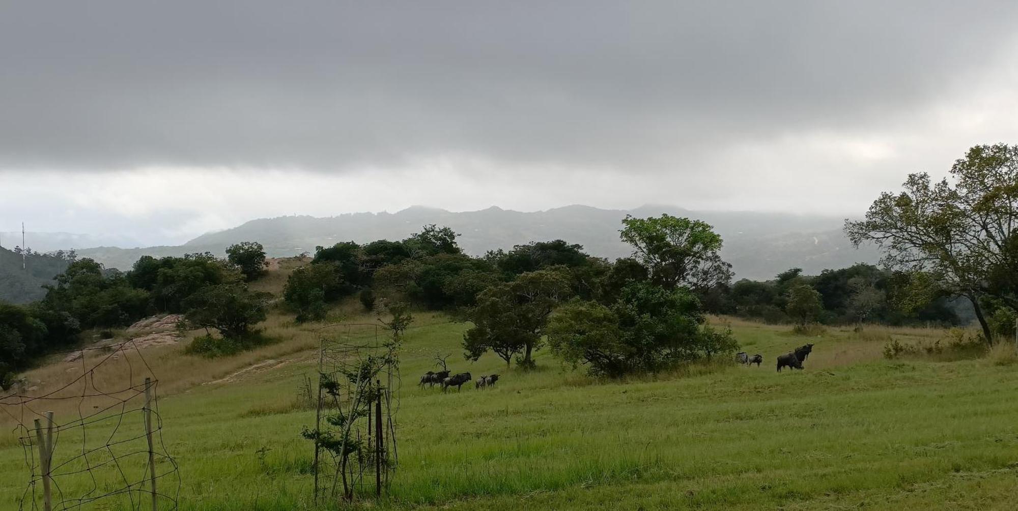 @Nature Luxury Cottages Mbombela Екстер'єр фото
